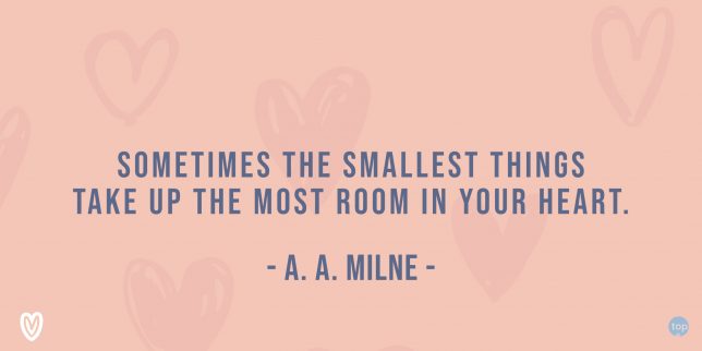 Sometimes the smallest things take up the most room in your heart. - A. A. Milne

quote