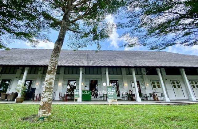 Terra Madre Restaurant Dempsey Review