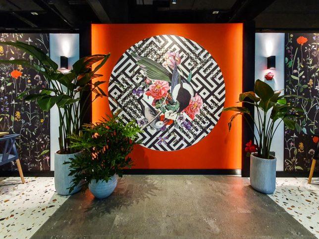 Zing by Xi Yan & The Social Kitchen