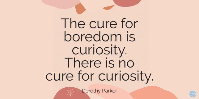 The cure for boredom is curiosity. There is no cure for curiosity. - Dorothy Parker