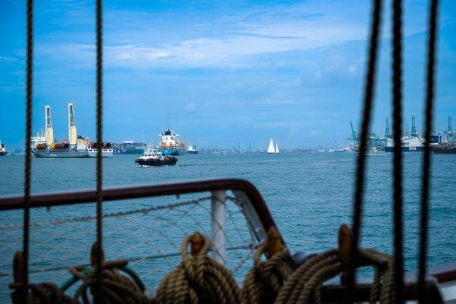 View from upper deck of Royal Albatross