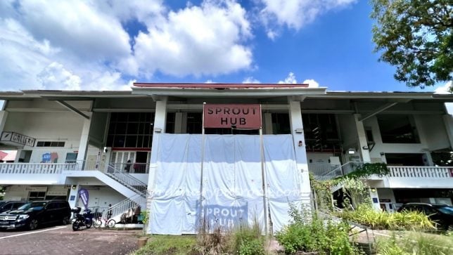 Pang's Hakka Noodles Review  Sprout Hub