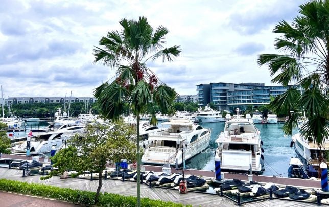 WOK°15 Kitchen : Chinese Restaurant @ Sentosa Marina One