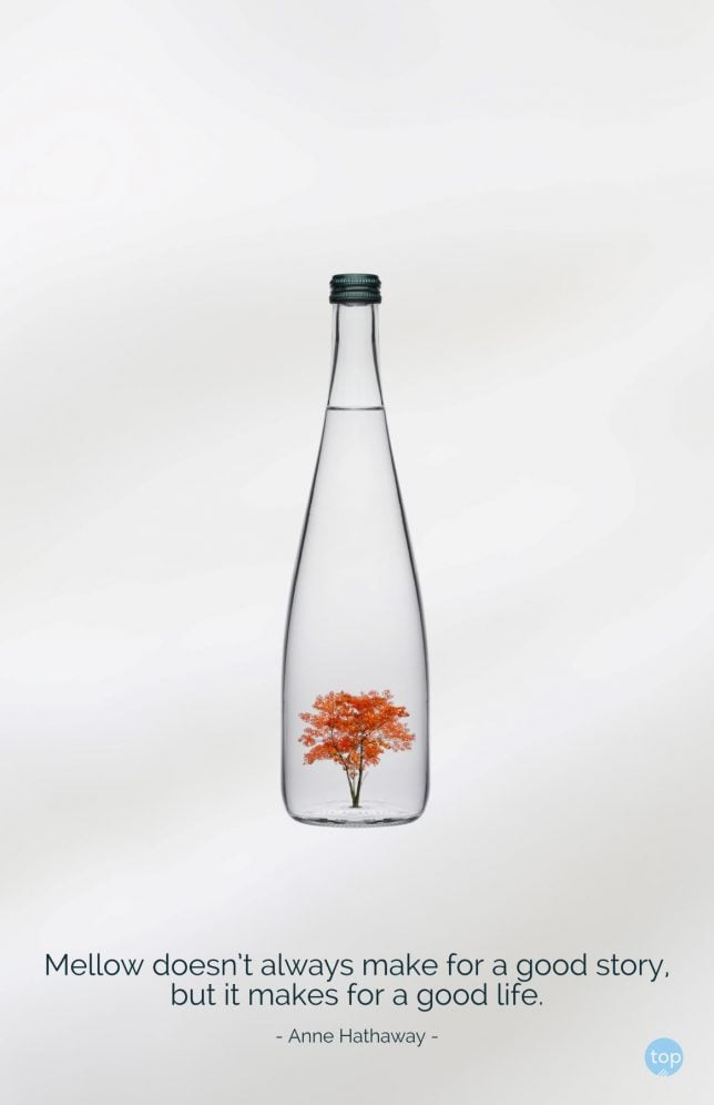 Mellow doesn't always make for a good story, but it makes for a good life. - Anne Hathaway
quote