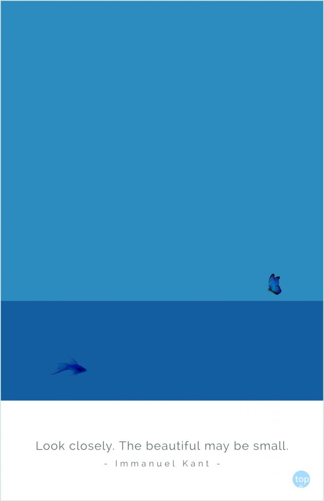 Look closely. The beautiful may be small.
- Immanuel Kant

quote