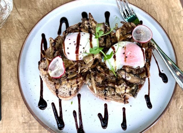 Surrey Hills Ion Orchard Review