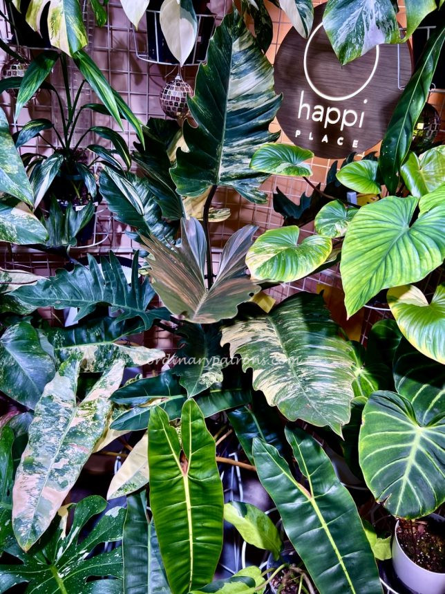 Happi Place Cafe Everton Park