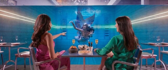 Fish Pool - underwater mermaid performance