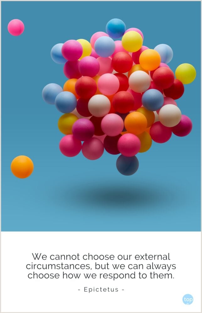 We cannot choose our external circumstances, but we can always choose how we respond to them. - Epictetus
quote