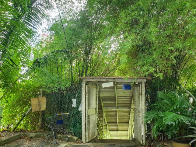 Stairway to Pearl's Hill Terrace