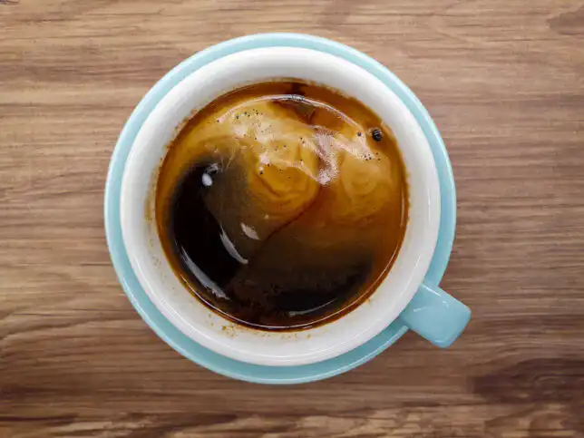 Trehaus Cafe Coffee