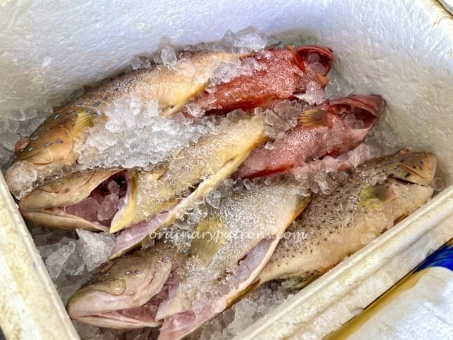 Steamed Fish Restaurant Singapore Michelin Bib Gourmand Zai Shun at Yuhua Food Centre Jurong East