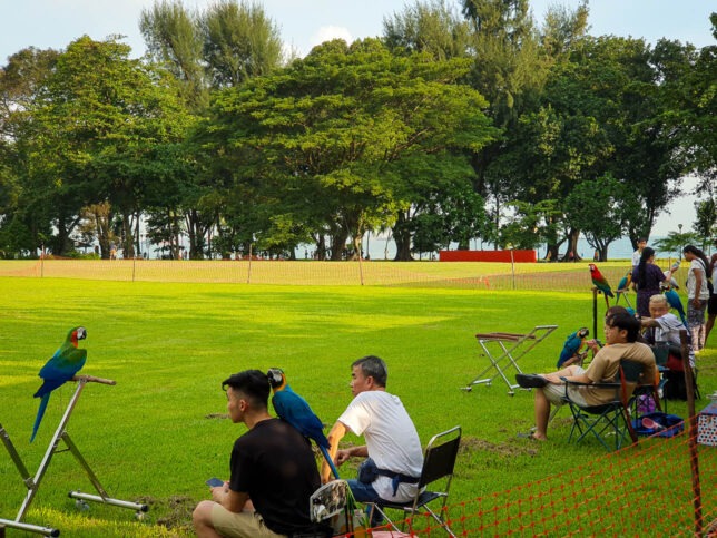 Bird Perch at Parkland Green