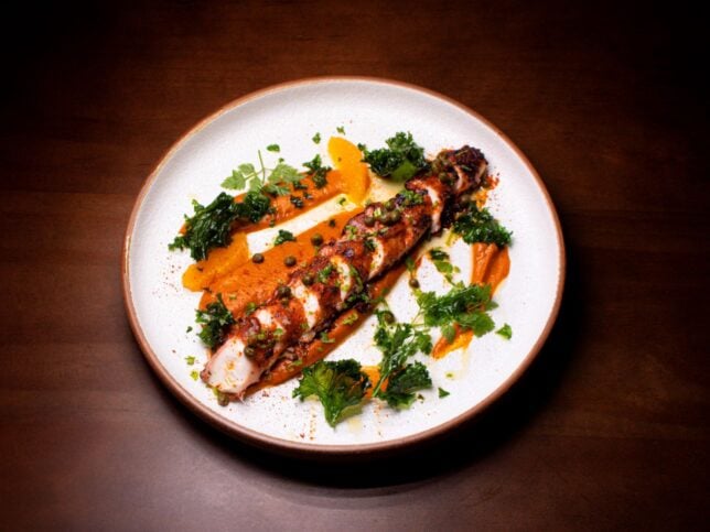 Pulpo Asado Al Carbon (Grilled Octopus Leg)