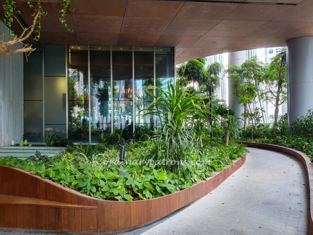 Sol & Luna in Green Oasis at CapitaSpring