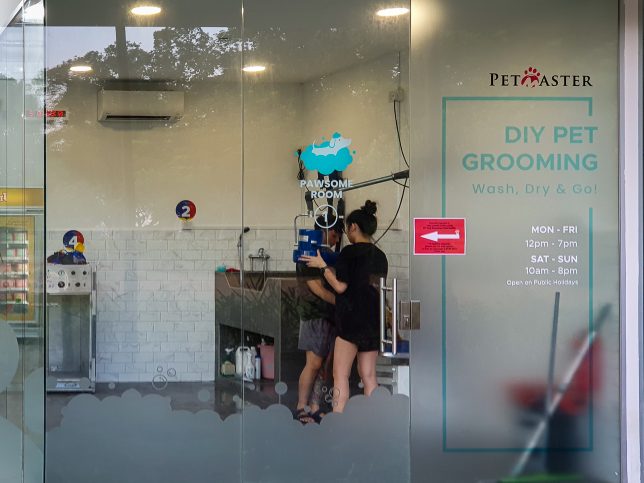 PetMaster DIY Pet Grooming at Parkland Green