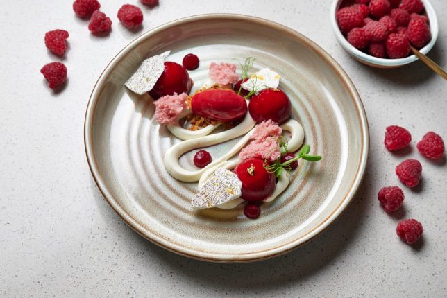 Prego - Semifreddo ai Lamponi