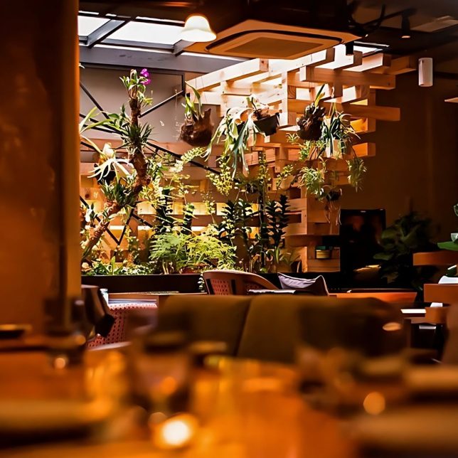 Birds of A Feather Restaurant & Bar