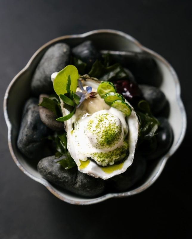 Le Pristine - Irish Mor Oyster