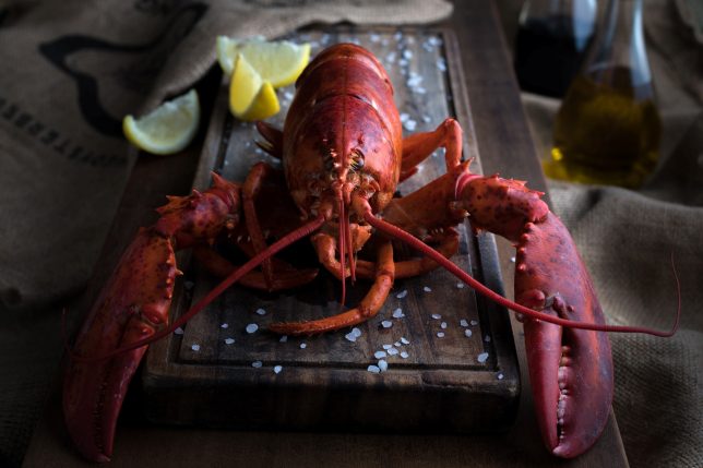 Greenwood Fish Market - Mother’s Day special lobster promotion