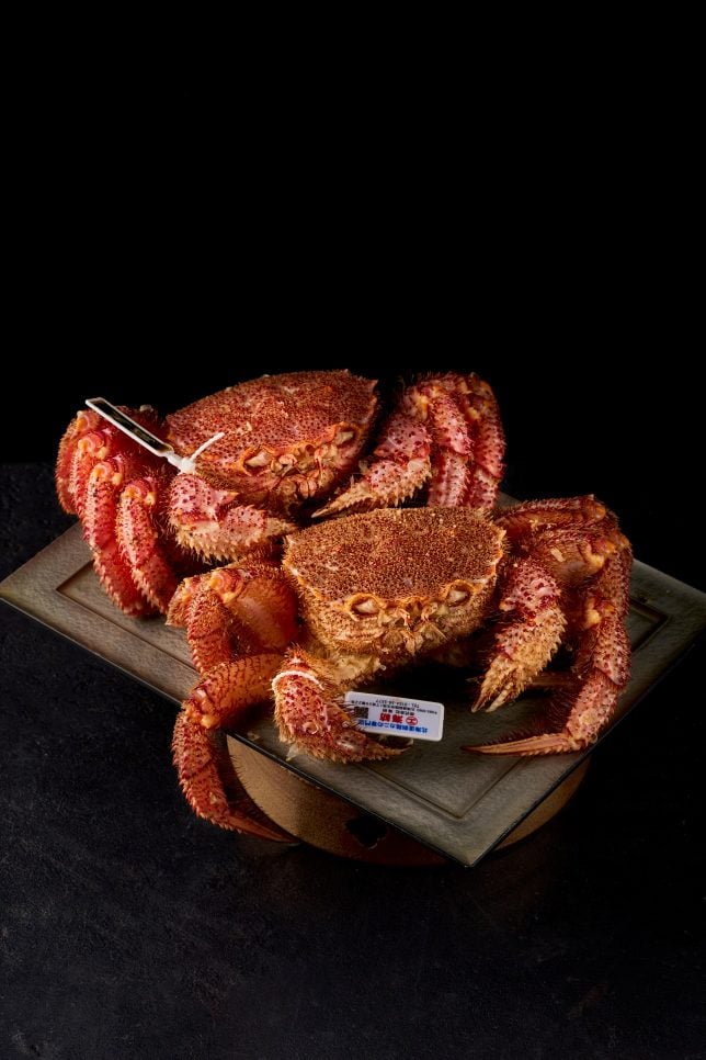 Kegani Hairy Crab - Hamamoto 