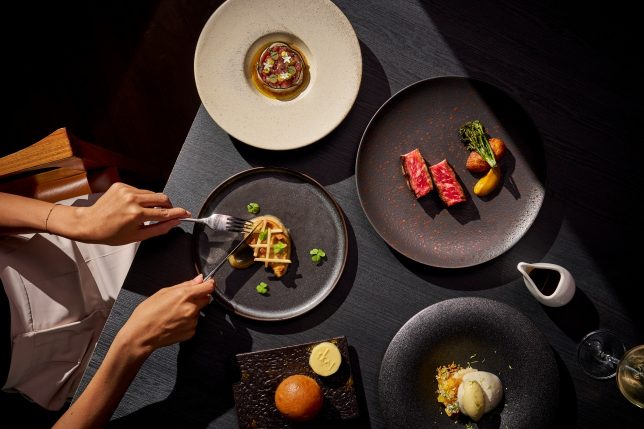 SKAI 1212 Chef's Tasting Menu