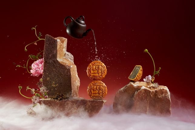 Hai Tien Lo No. 1 Tea with Melon Seeds Baked Mooncake