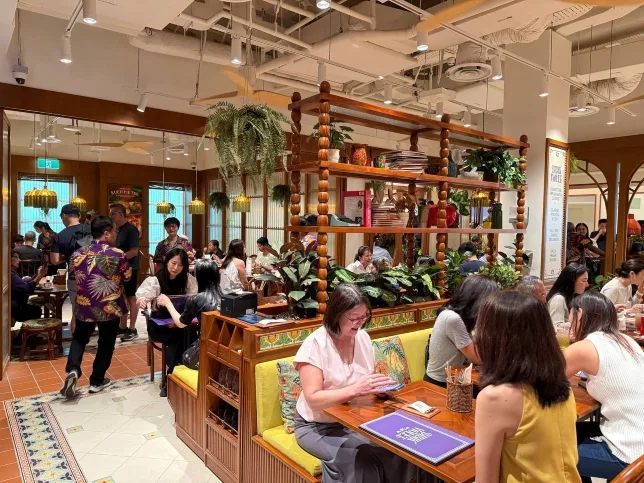 Bibik Violet at full capacity during noontime