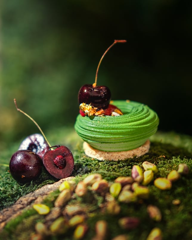 Pistachio Cherry Bloom