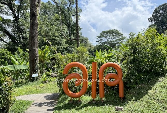  AIR CCCC Singapore Dempsey direction parking 