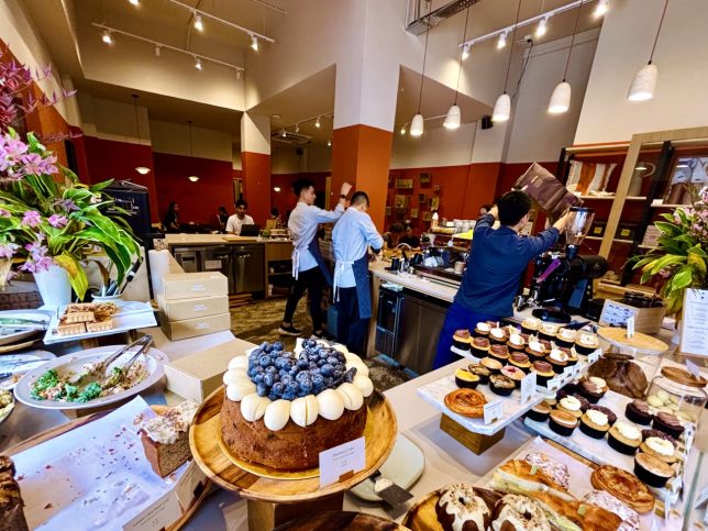 Plain Vanilla Holland Village Pop-Up 