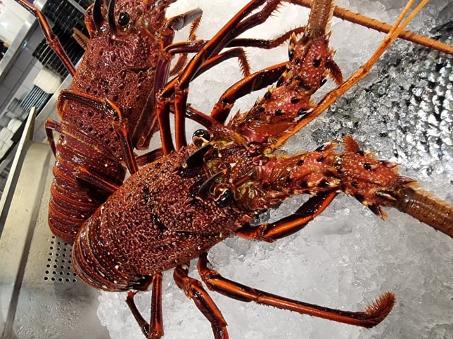 Rock Lobster - Greenwood Fish Market