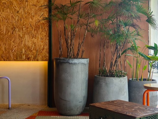 Cata Coffee
56 Joo Chiat Place, Singapore 427780