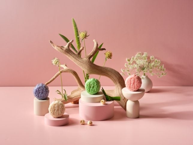Assorted Mini Snowskin Mooncakes