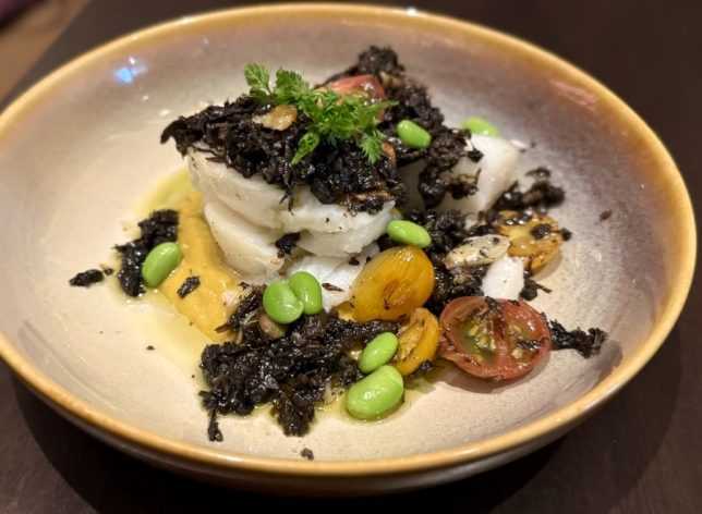 Casa Mori black cod