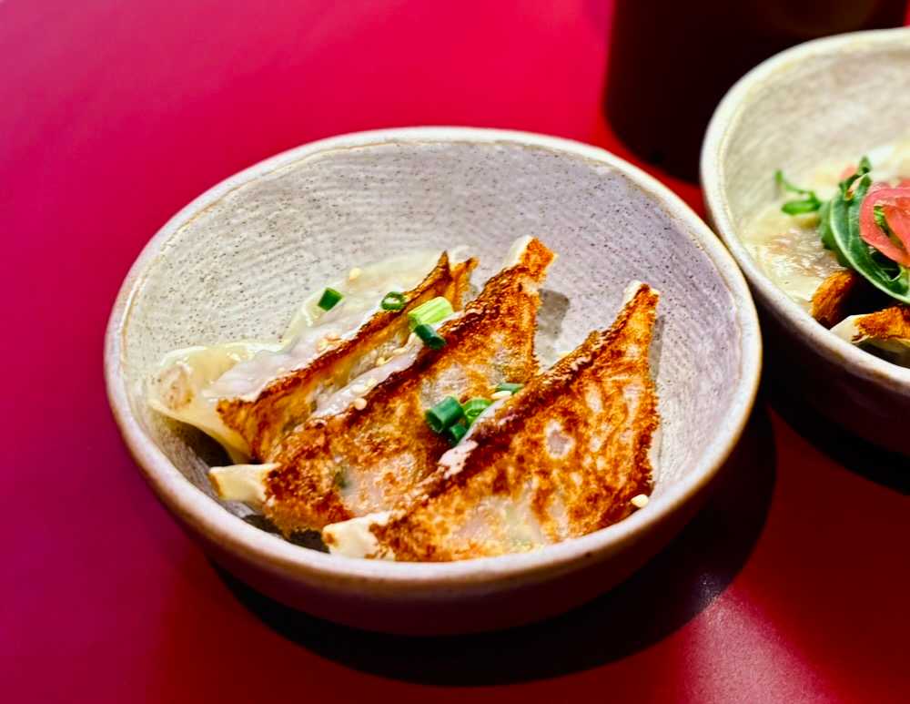 Dumpling Darlings New Bahru