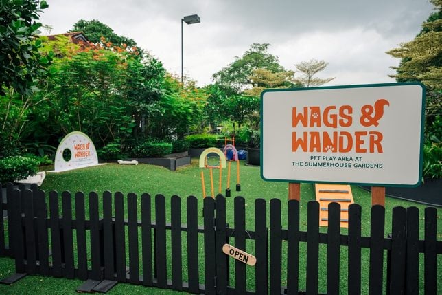 Wags & Wander Credit 1-Group