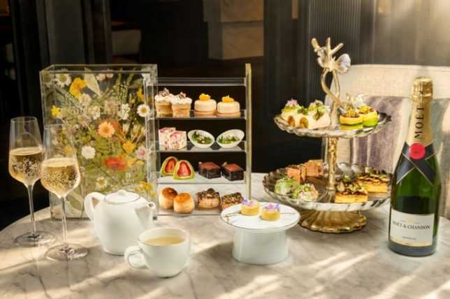 Ginger.Lily, Hilton Singapore Orchard: Botanical Afternoon Tea 