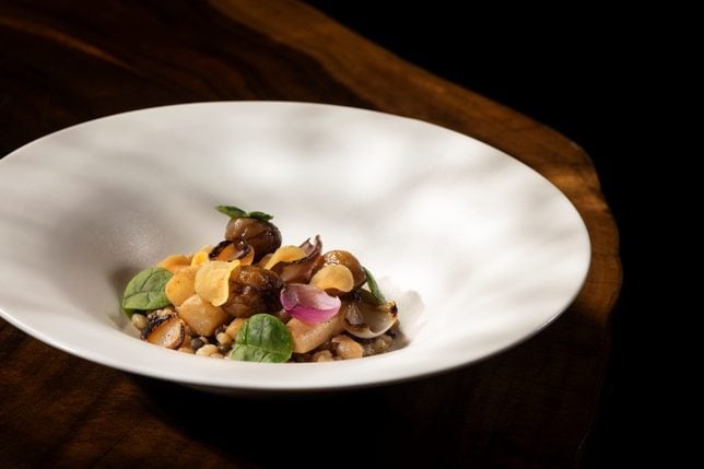 Salsify and Chestnut Credit Birds of a Feather